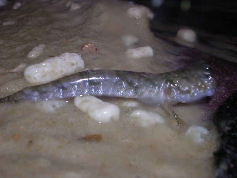 DSCN2980.jpg