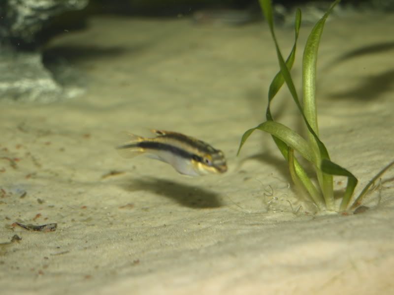 _3052774.jpg