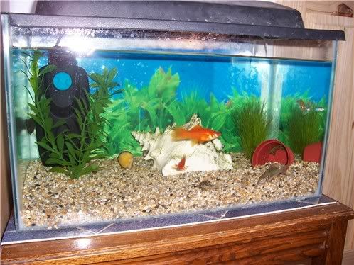 tank0709.jpg