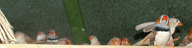 DSCF3653.jpg