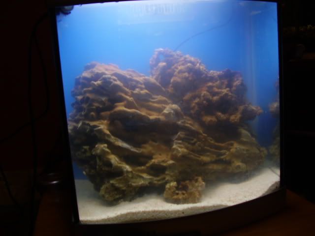003-2.jpg