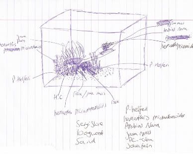 SCAN0001.jpg