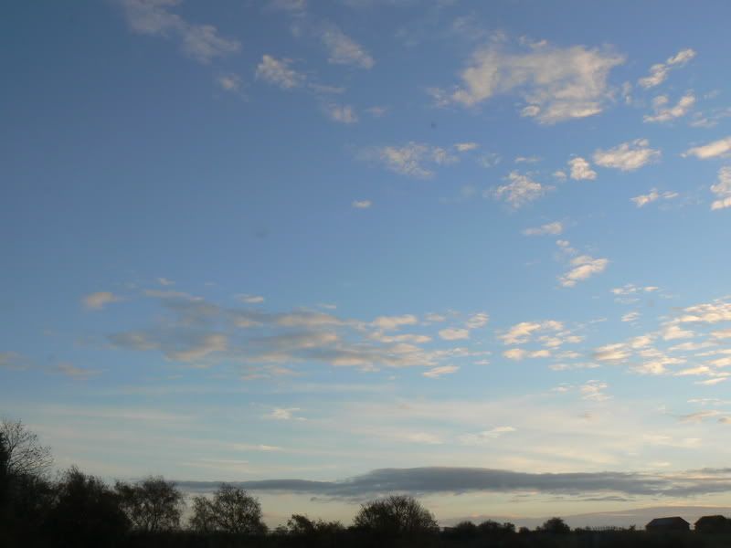 P1000036.jpg