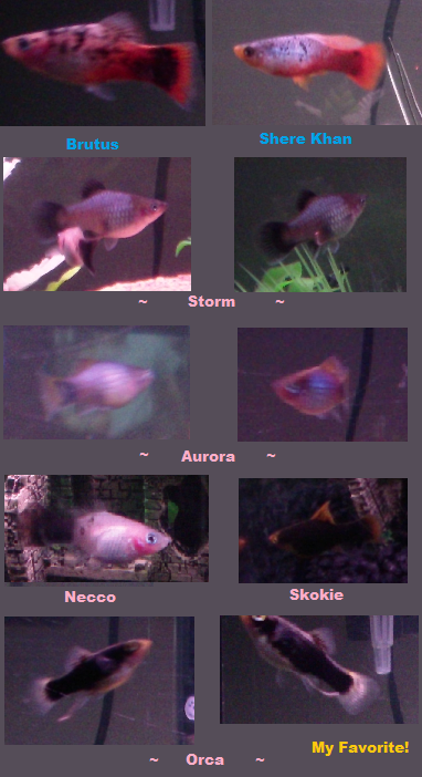 a4d7962b.png