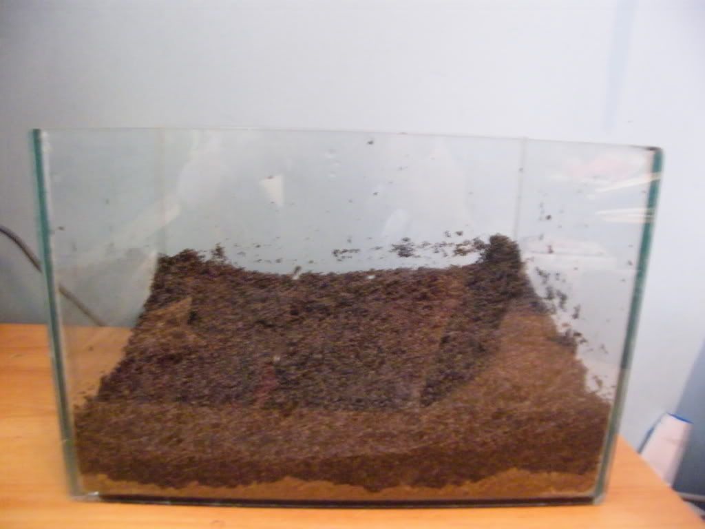 DSCF4543.jpg