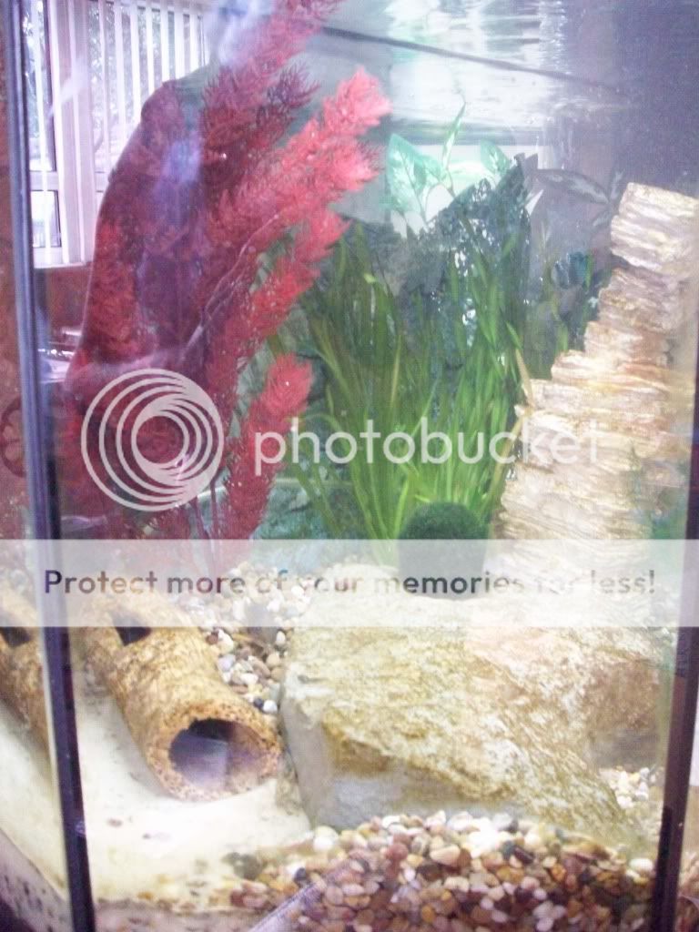 100_2097.jpg