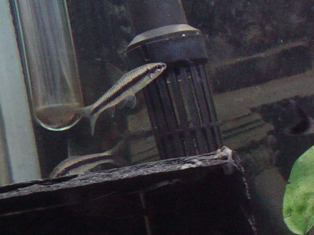 DSC03173.jpg