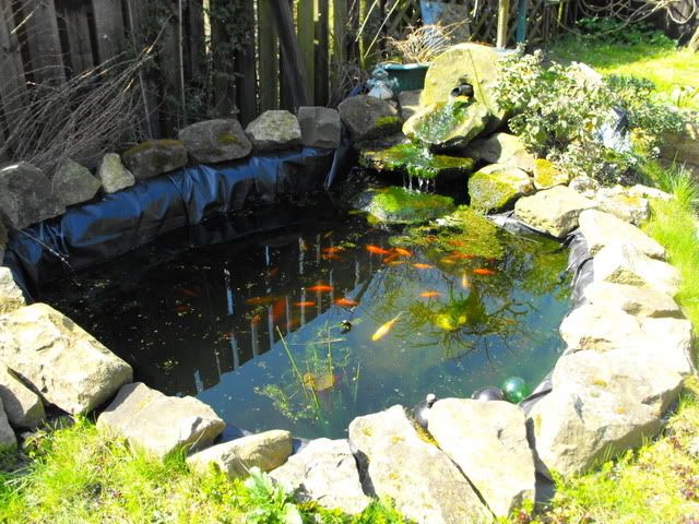 2010_0416pond0002.jpg