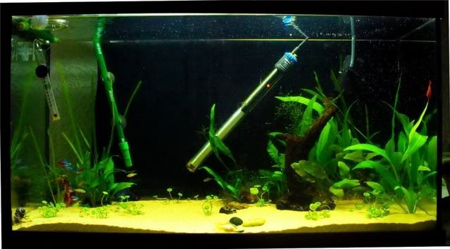 2010_0723tank0022.jpg