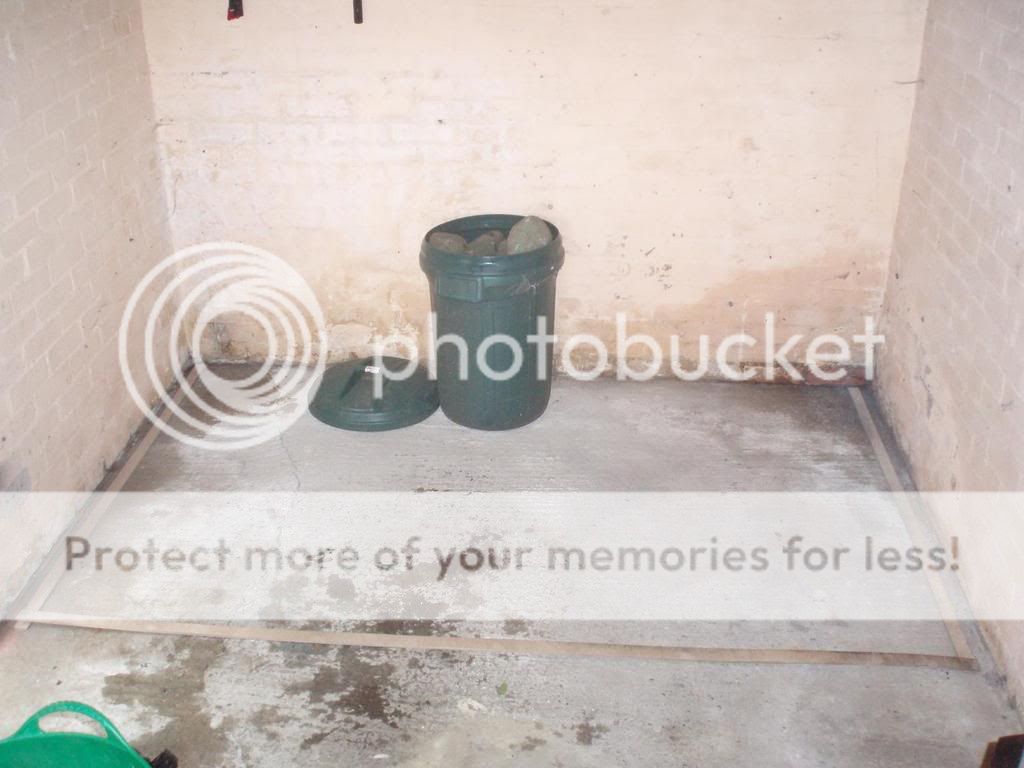 Picture1013.jpg