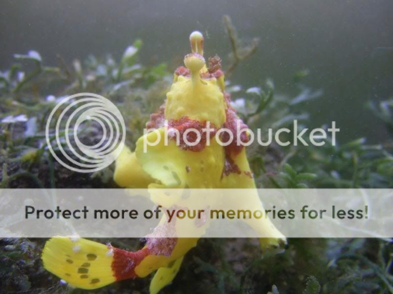DSCF2837.jpg