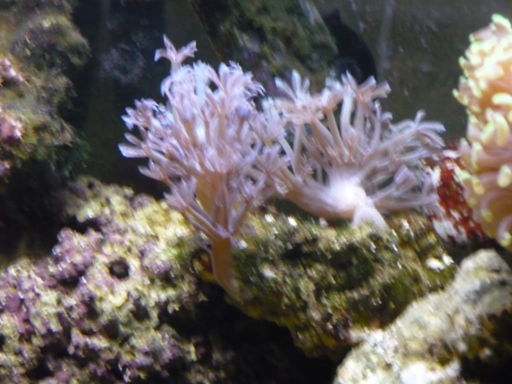 P1000422.jpg