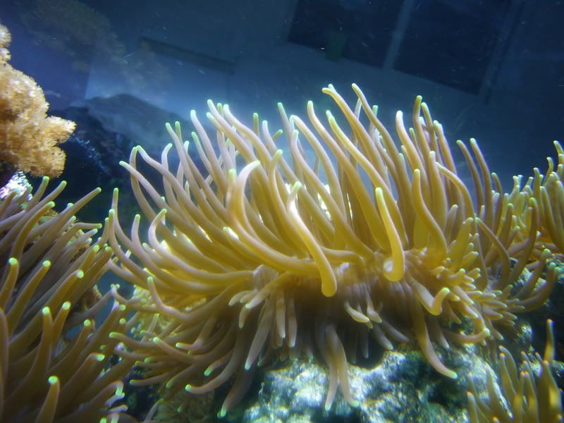 P1010180.jpg
