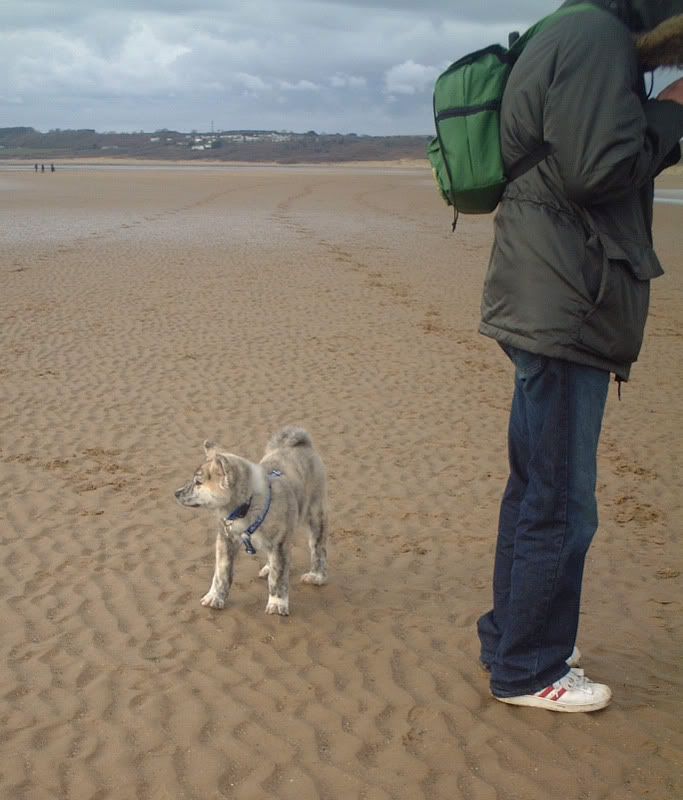 azumiatthebeach.jpg