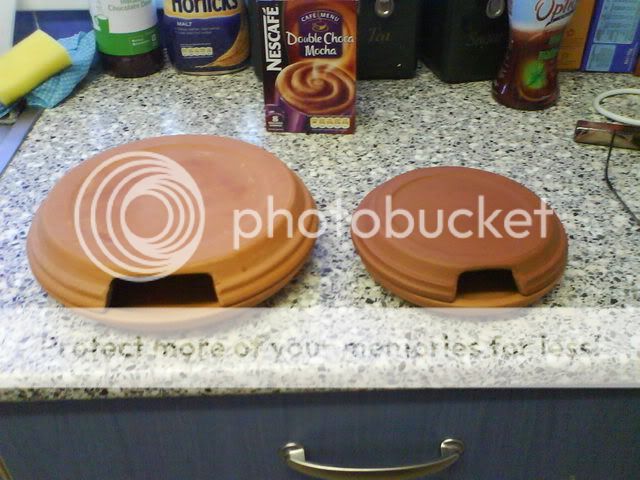 DSC00277.jpg