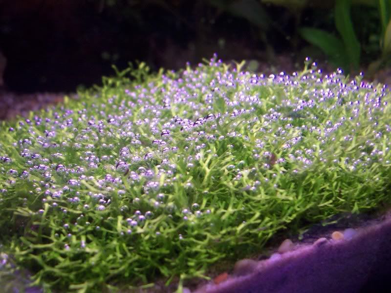 100_1545.jpg