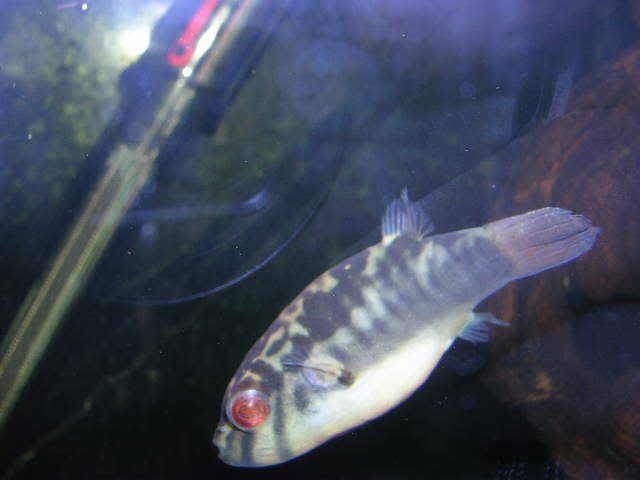 DSCN2665.jpg