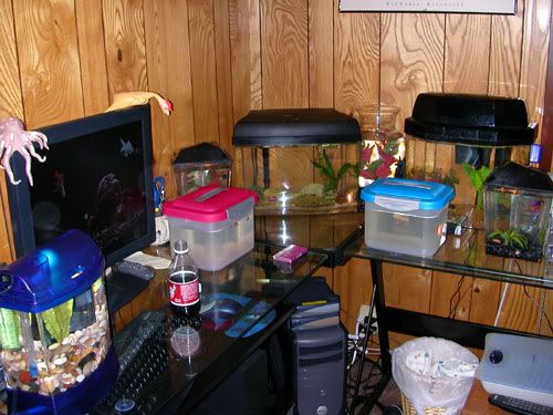 DSCN9538.jpg