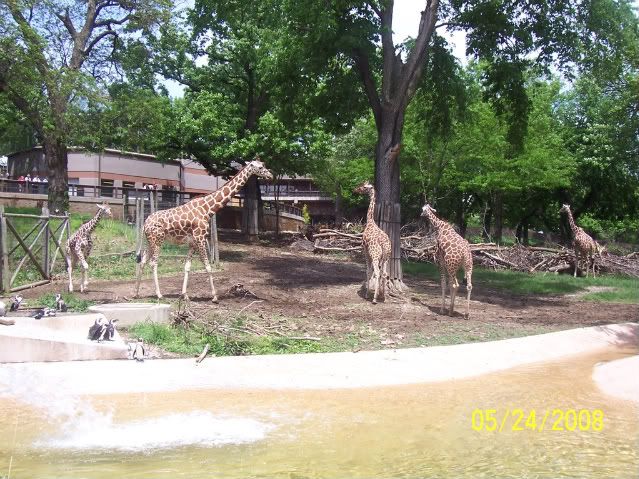 100_3261.jpg