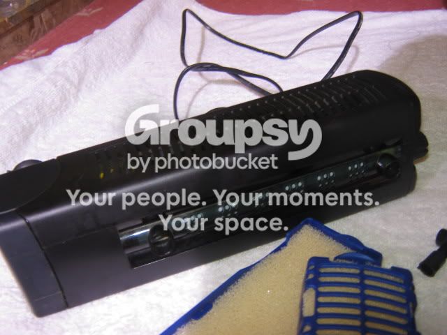 042-2.jpg