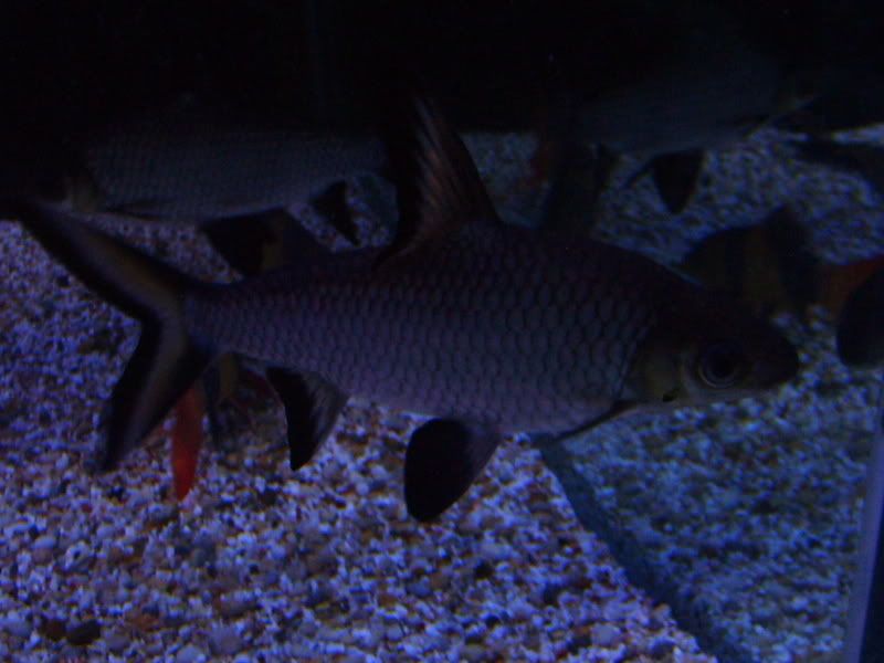 S5006416.jpg