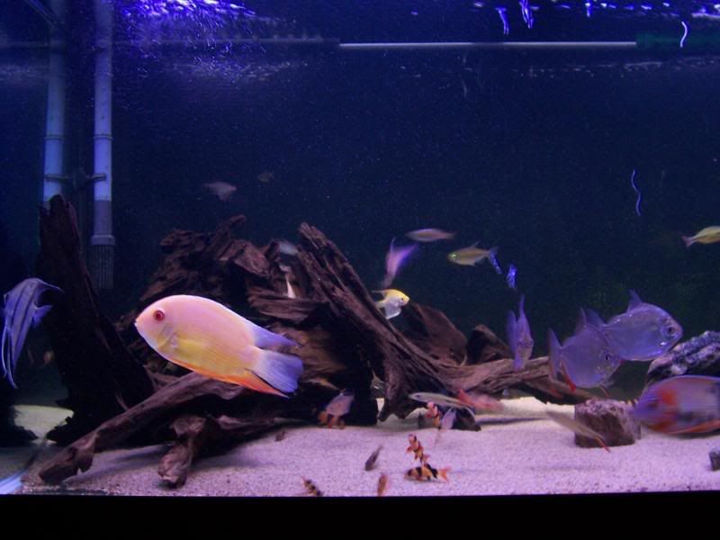 100_6080.jpg