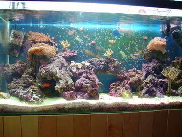 FTS01003.jpg