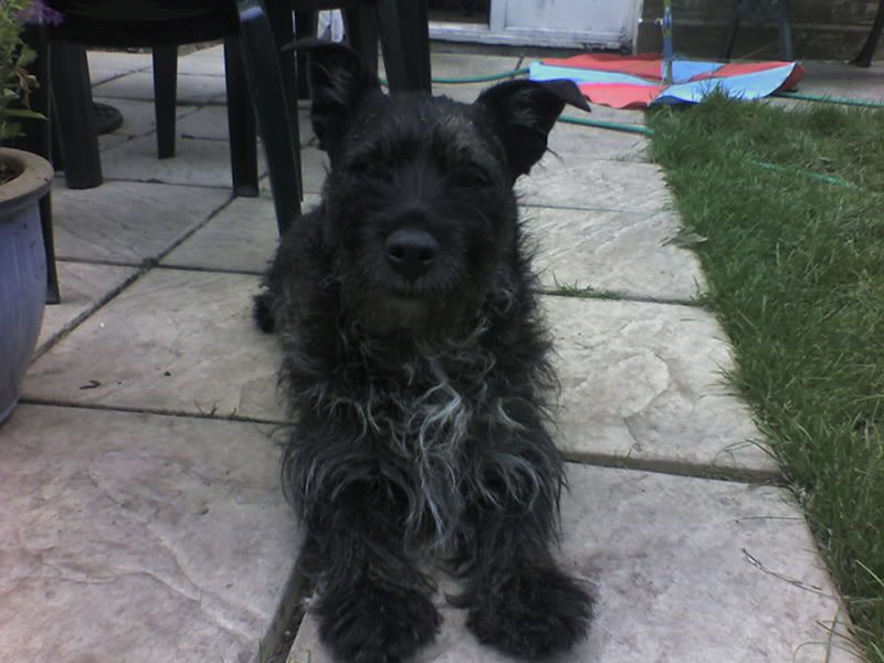 Picture0124.jpg