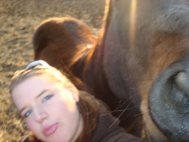 horsies005.jpg
