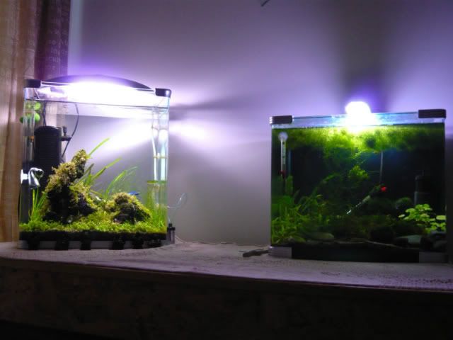 P1020627-2.jpg