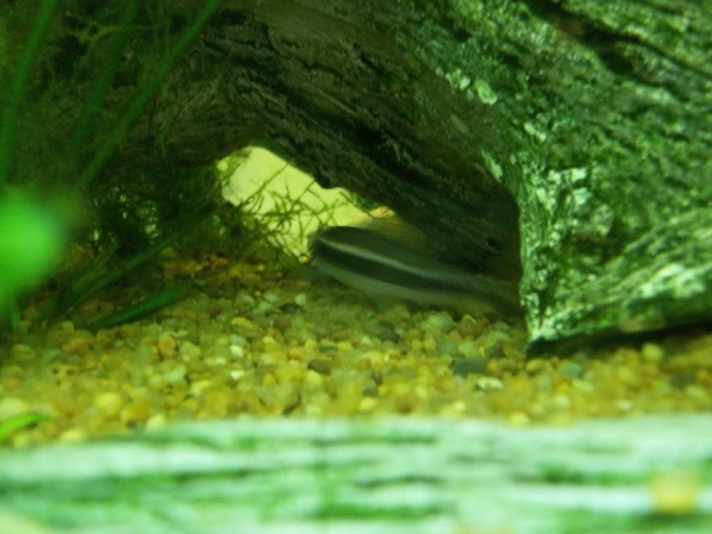 100_0122.jpg