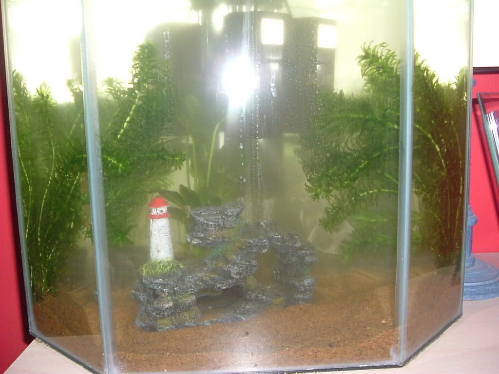 Fish008.jpg