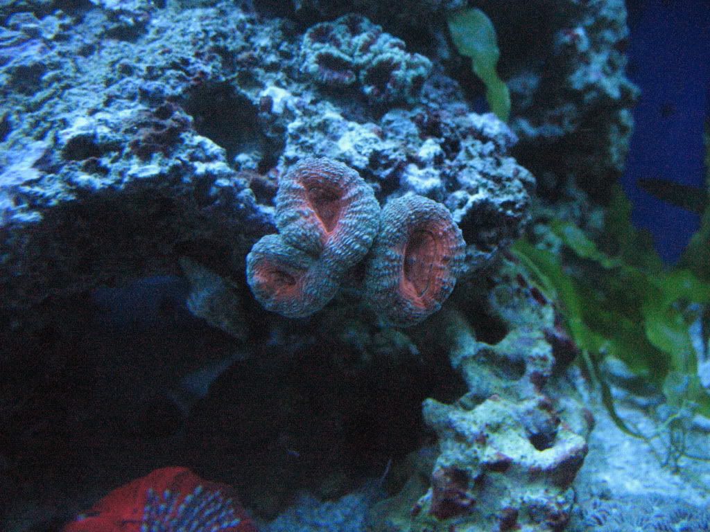 IMG_1983.jpg