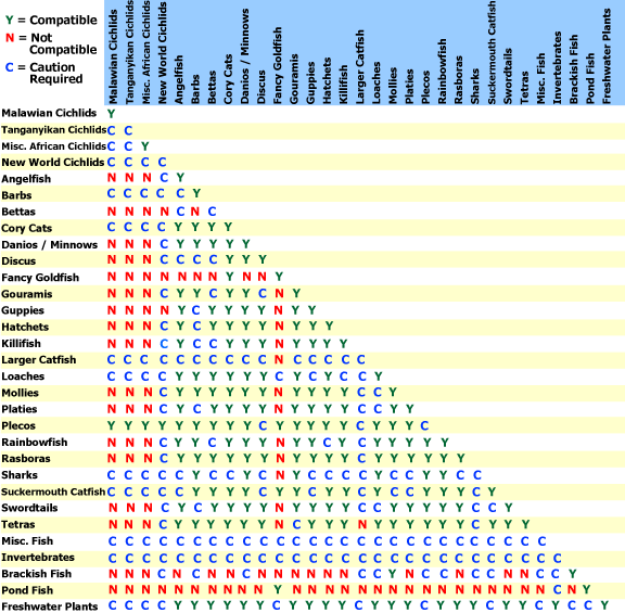 g_fw_compchart.gif