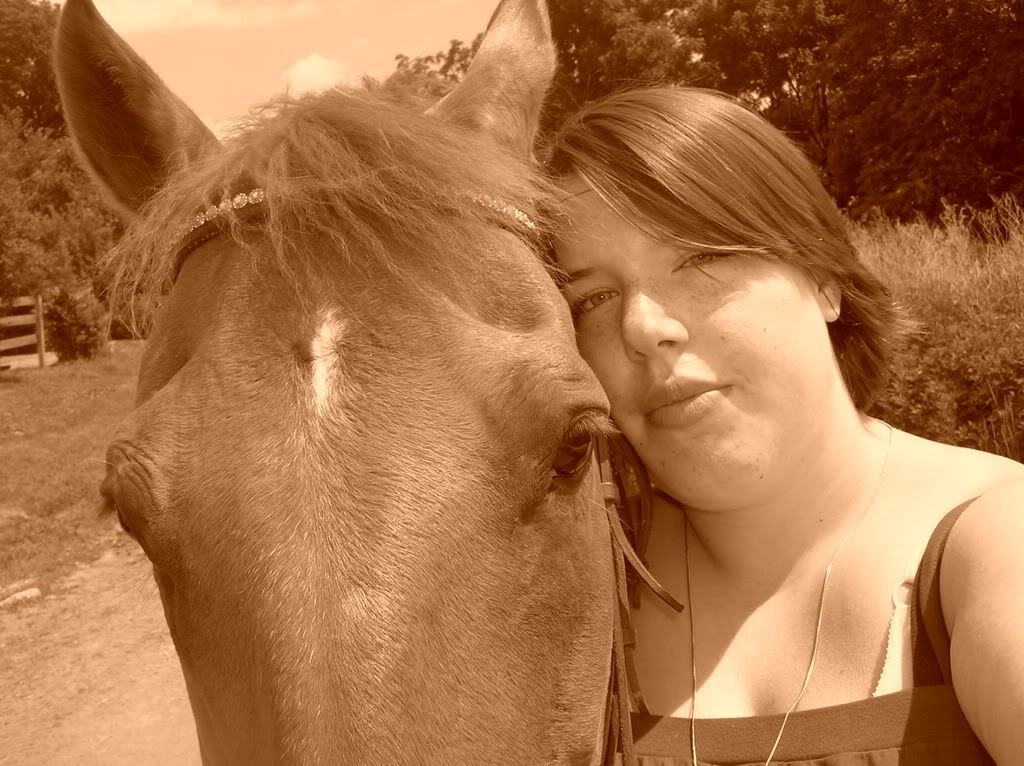 horse012.jpg