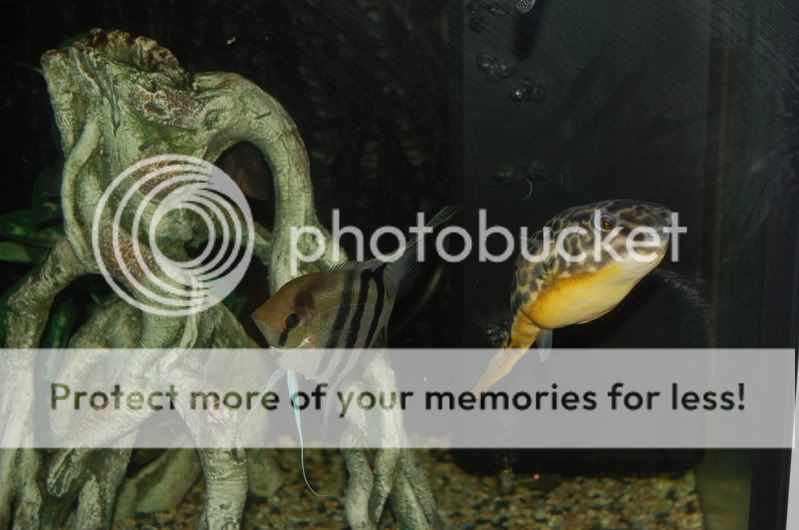 Picture093.jpg