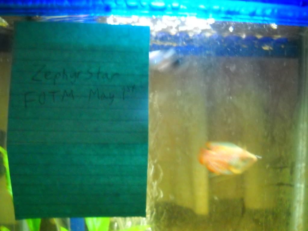 FOTMMay2012013.jpg
