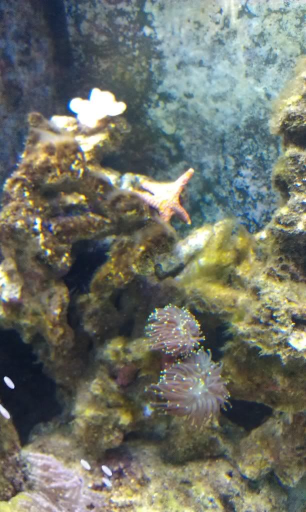 IMAG0610.jpg