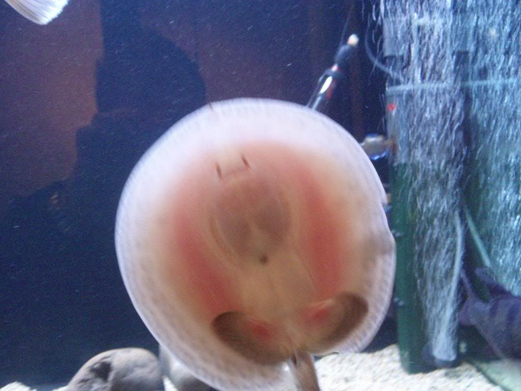 Picture498.jpg