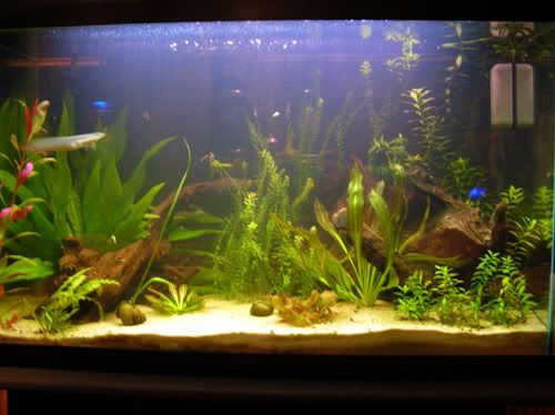 DSCN1559.jpg