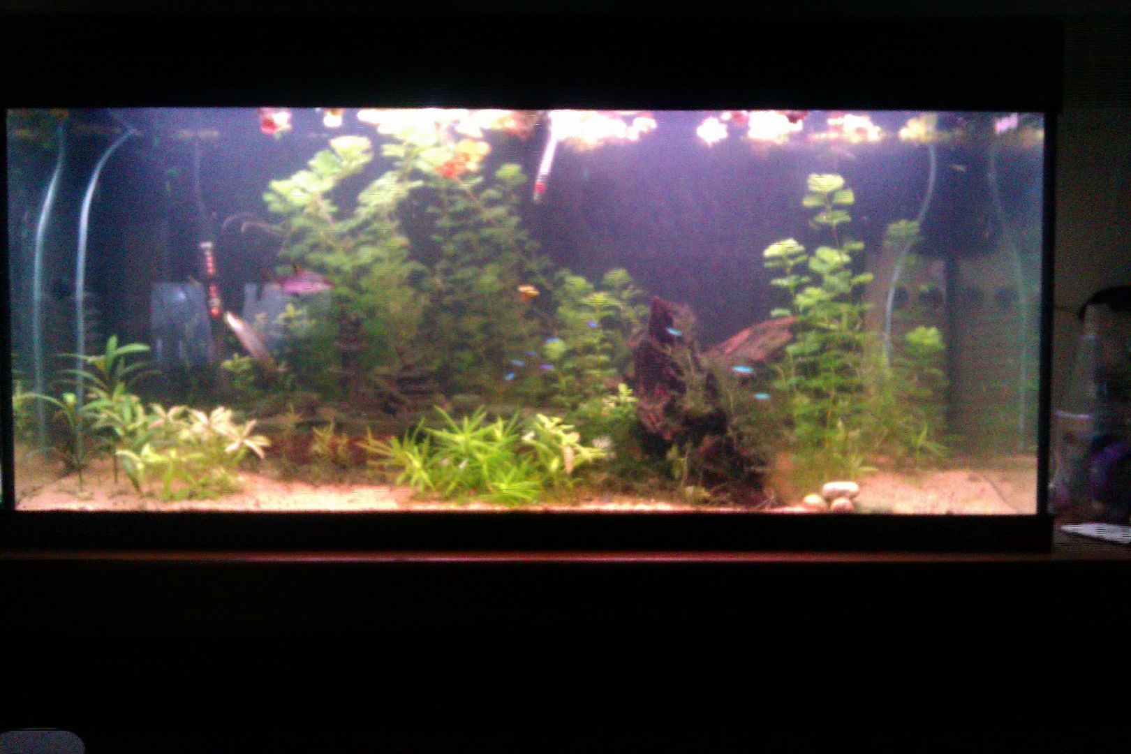 IMAG0004.jpg