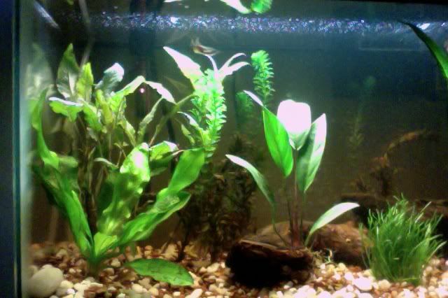 Photoon3-6-12at551PM.jpg