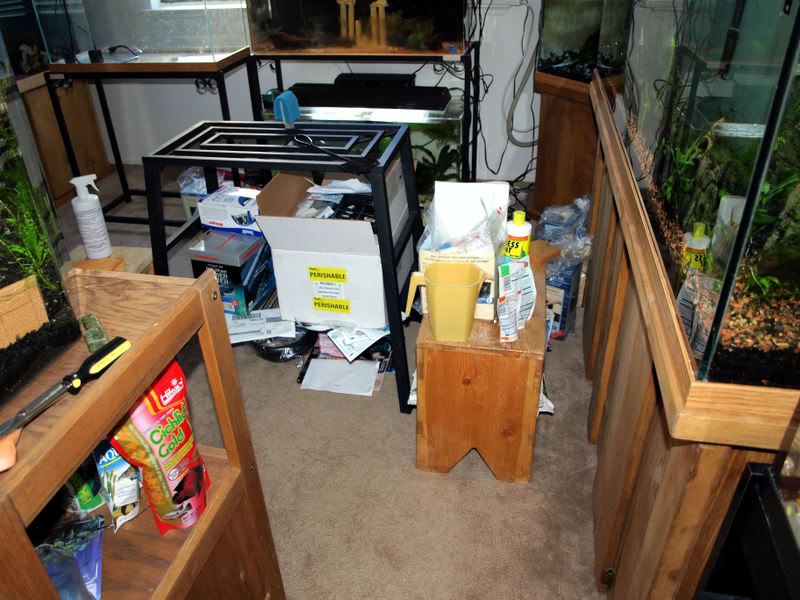 PC310447bottleneckedstill.jpg