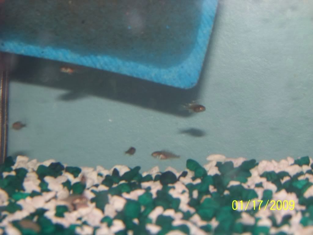 100_1262.jpg