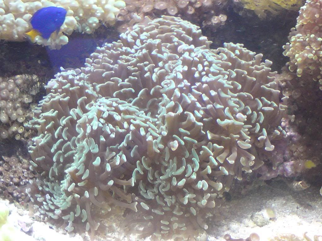 DSC00002.jpg