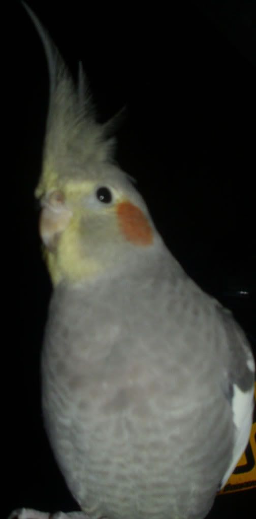 DSCI0070.jpg
