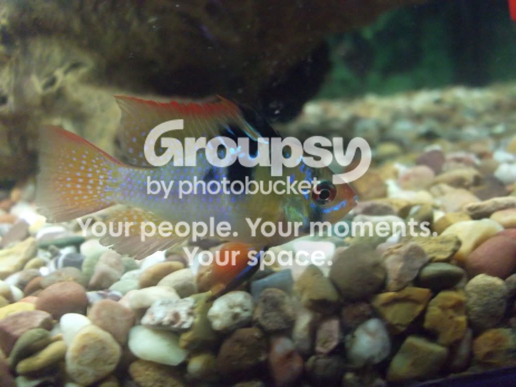 DSCF2086.jpg