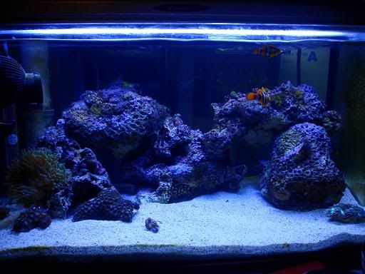 fts.jpg