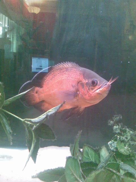 Image003.jpg