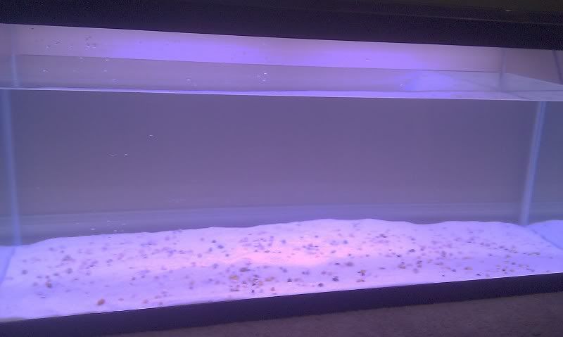 IMAG0124.jpg
